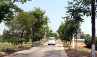 净化的灵魂痕迹怎么得 净化的灵魂痕迹怎么得